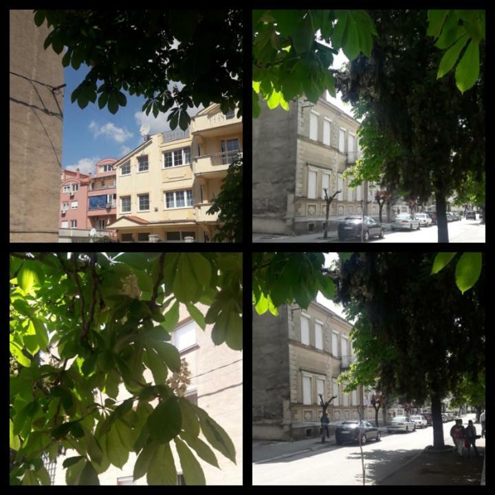 Apartment Voortex Trebinje Exterior foto